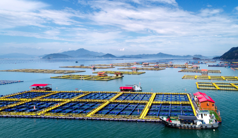 亚洲博彩网站召开2026年一季度“开门红”工作调度会议